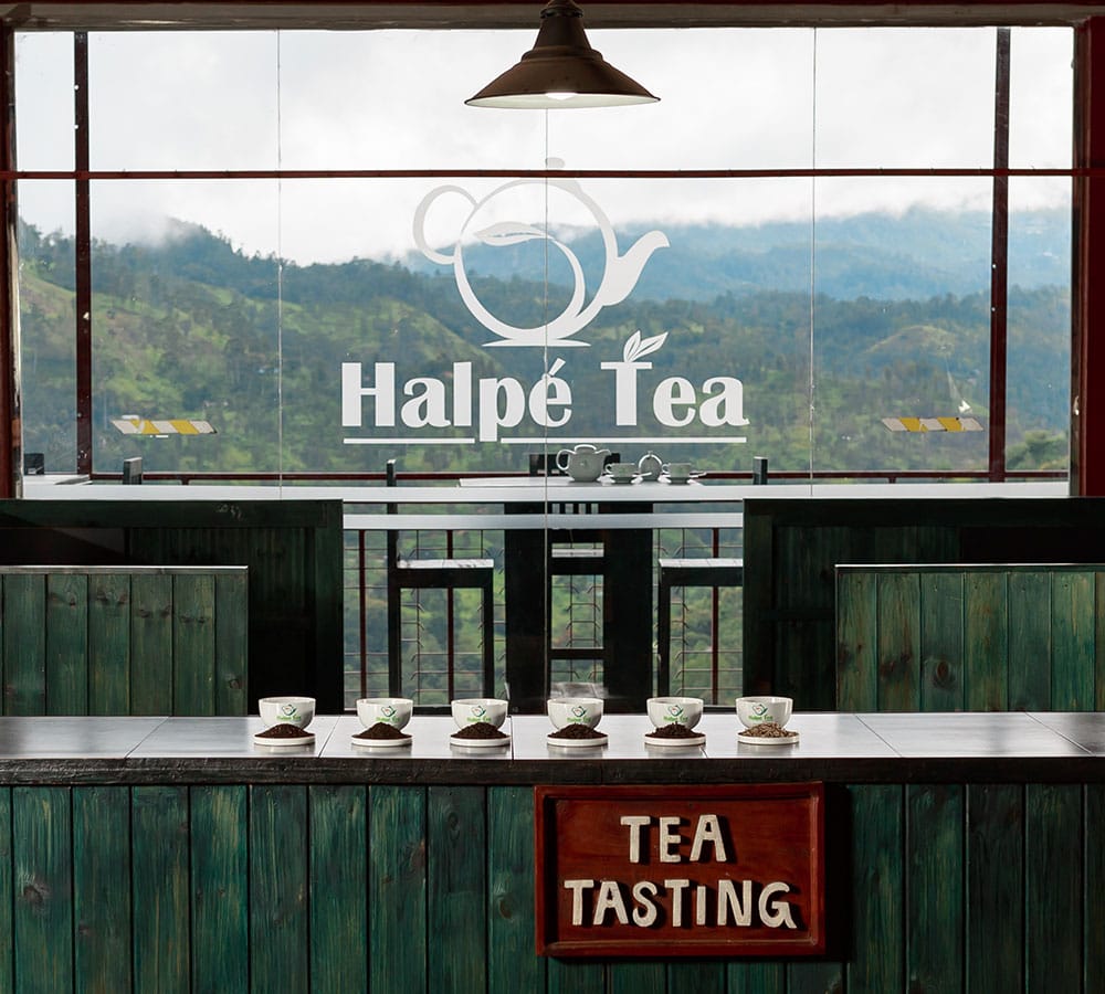 Best Ceylon Tea Tea Outlets by Halpe Tea Sri Lanka