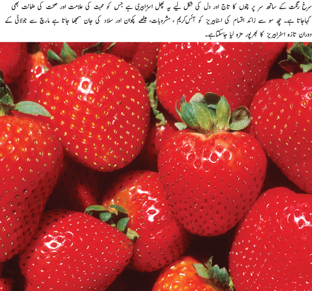 Strawberry An Amazing Fruit Urdu Article Urdu News, Tips, Articles, Poetry, Recipes