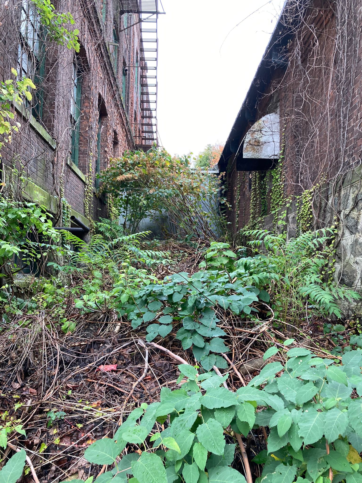 Economic Development Projects Underway in CT & New Haven County HEDC