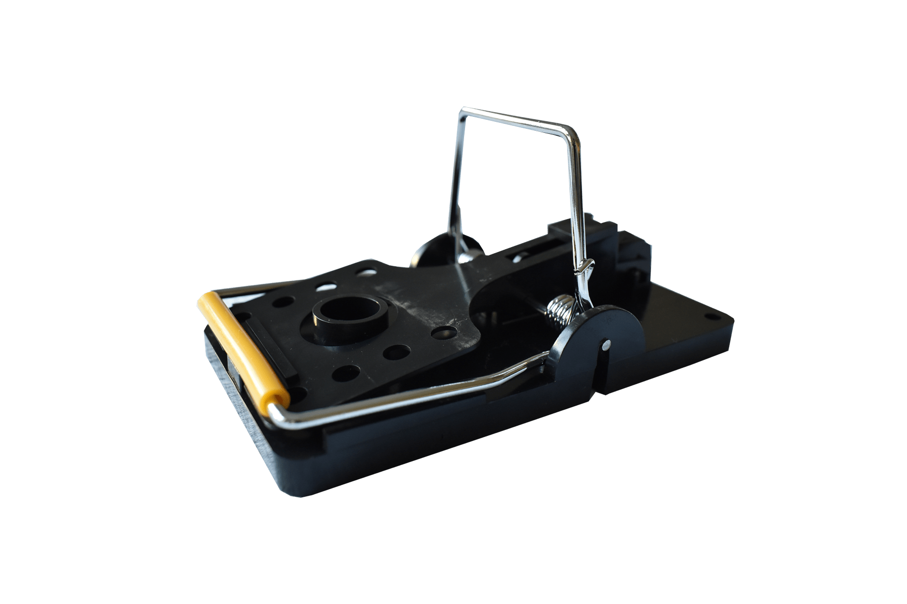 Rat Snap Trap Hamelin Pest