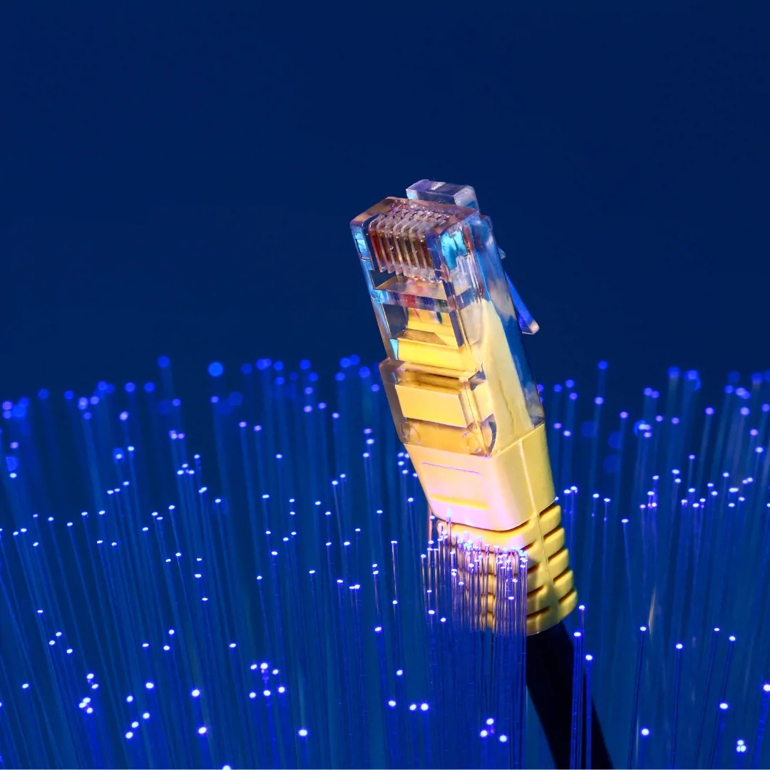 Fibre Hamilton Barnes