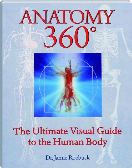 360 Anatomy Anatomy Drawing Diagram