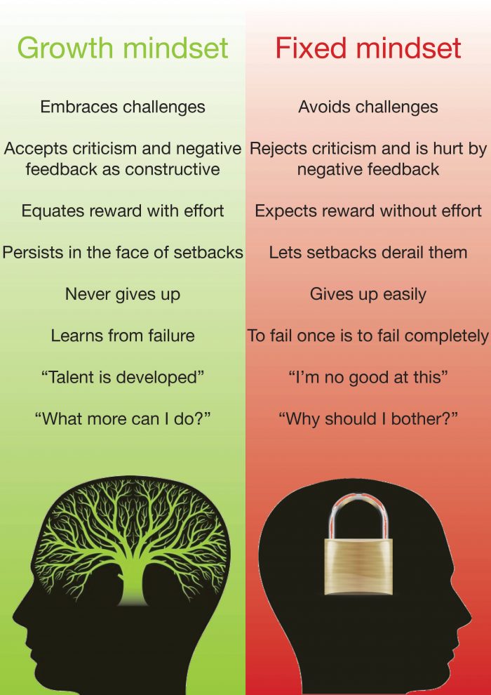 Definition Of Fixed Mindset DEFINITION KLW