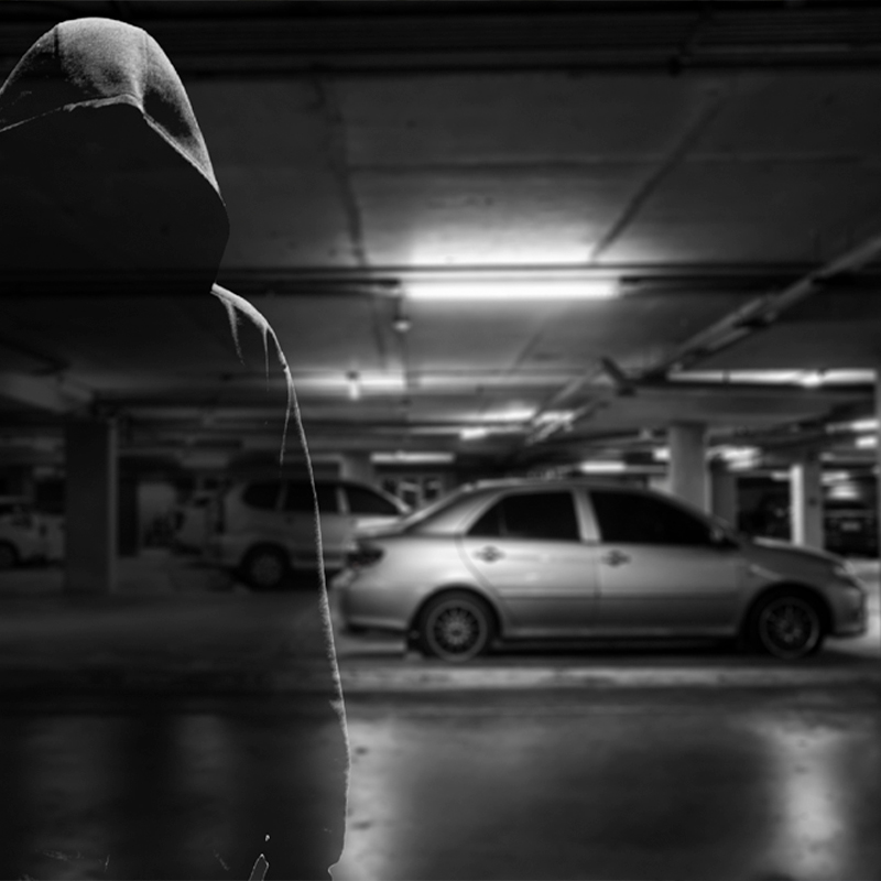 Hammer Socal Insurance