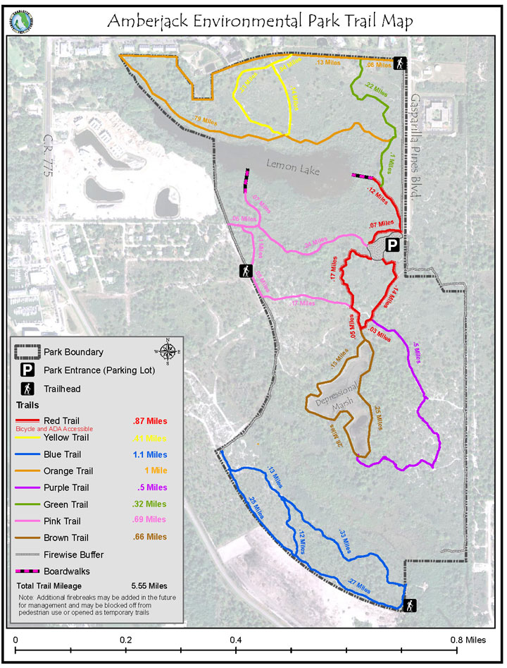 Amberjack Environmental Park THE HAMMOCKS