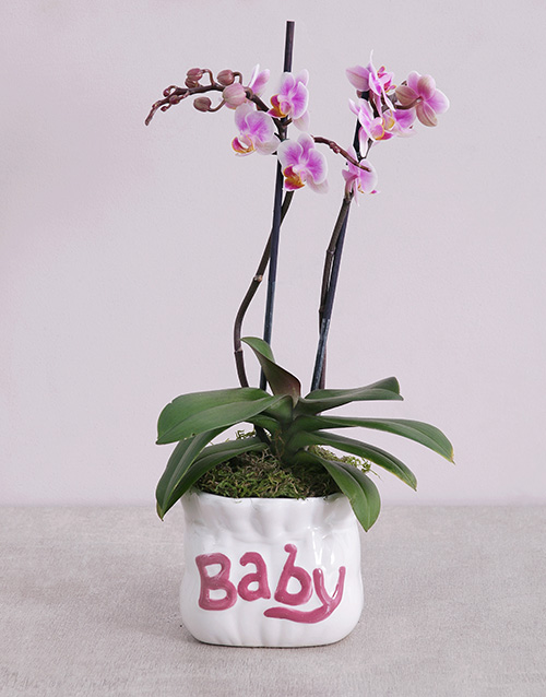 Baby Gifts & Ideas South Africa 2021 Hamperlicious