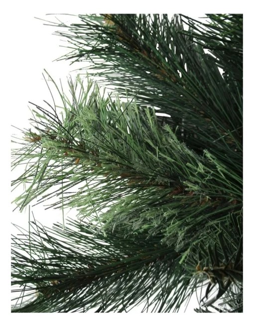 Best Sale 👍 Myer Giftorium New Oregon Cashmere Pine 🎁 Christmas Tree