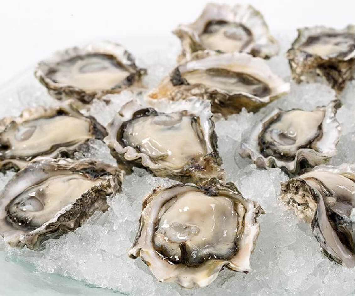 Kumamoto Oysters Ham Produce