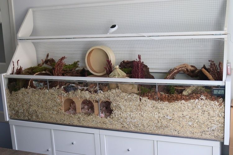 Diy Hamster Bedding