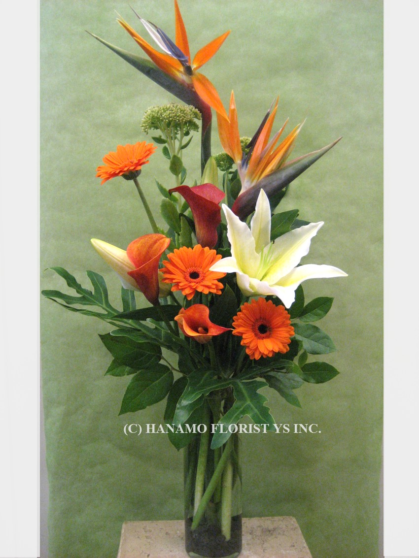 VASE818 Birds of paradise & seasonal flowers in vase [VASE818] 75.00