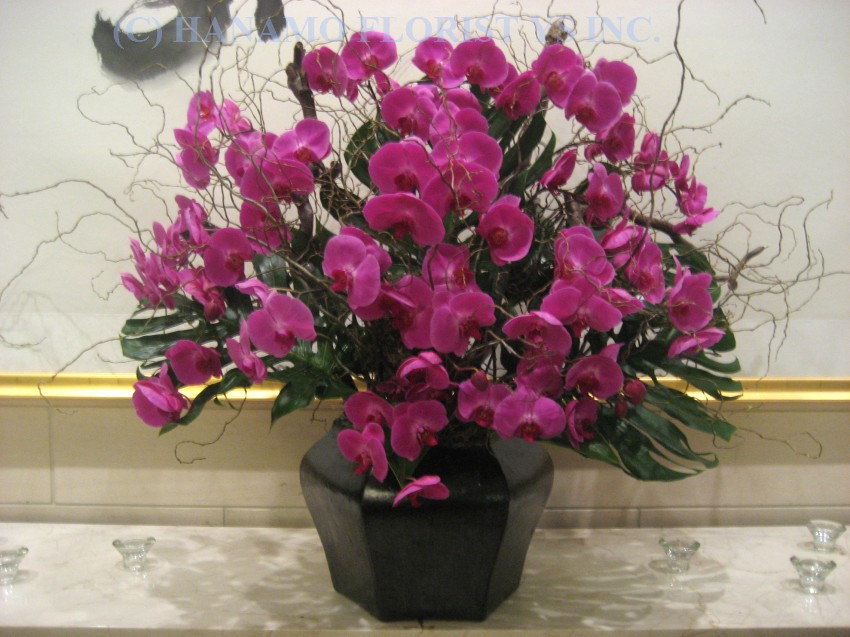 Hanamo Florist Online Store, Vancouver, BC, Canada, Quality