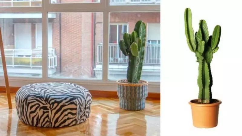 Ideas de decoración LOW COST para comprar en Ikea Handfie DIY