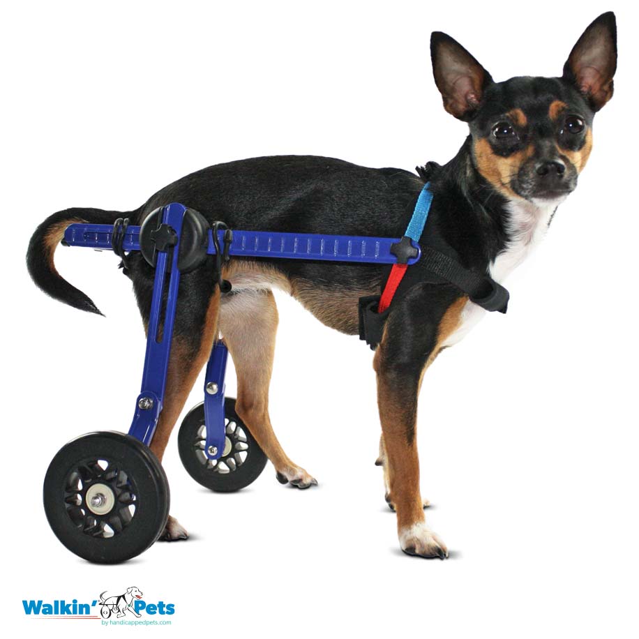 Dog Wheelchair Wheels for Dogs Walkin' Wheels Walkin' Pets