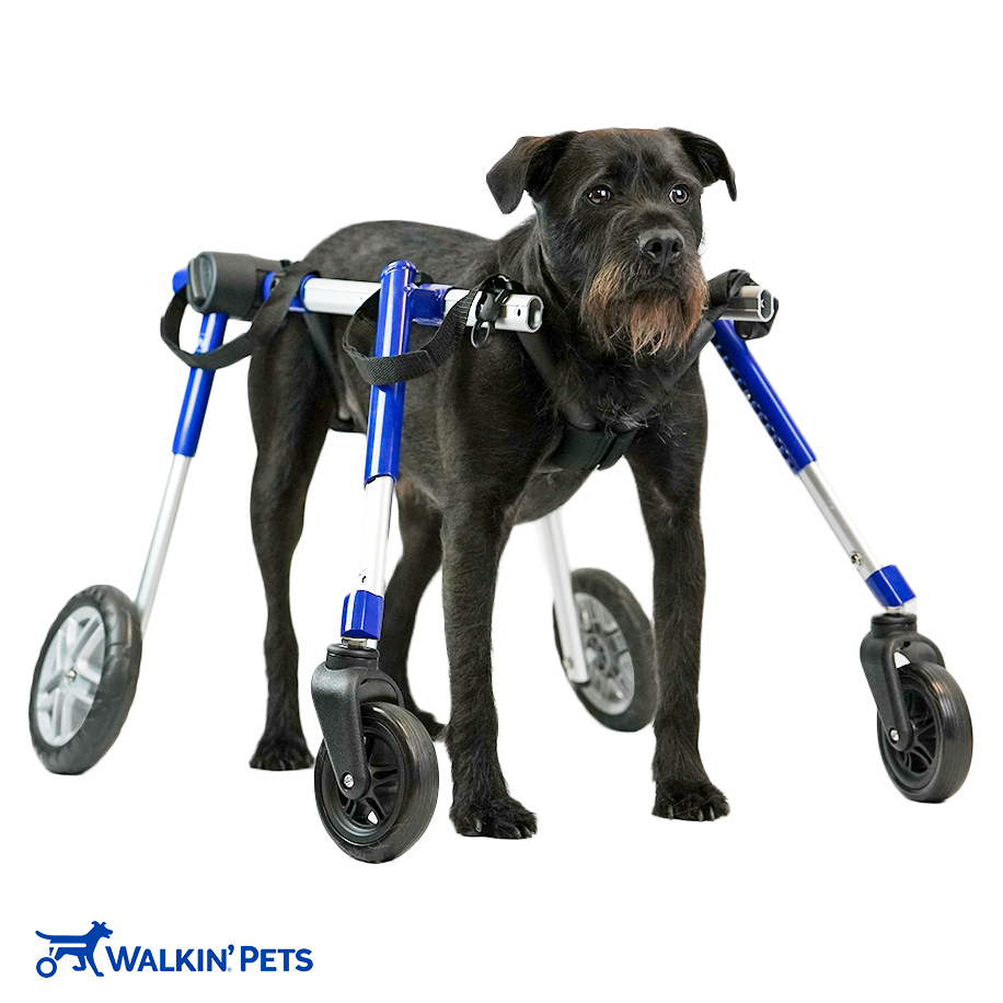 Walkin' Wheels Accessories & Parts Walkin' Pets