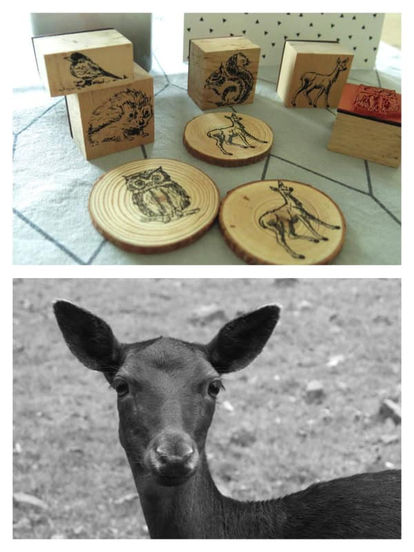 Waldmemory HANDMADE Kultur