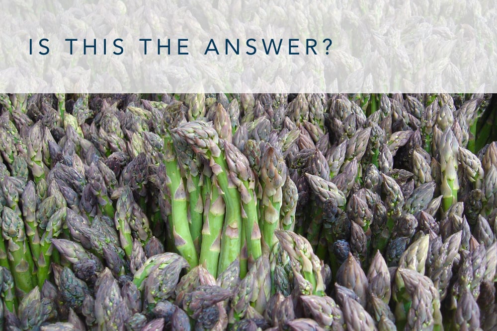 Asparagus Hangover Cure or Myth 1 Hangover Heaven