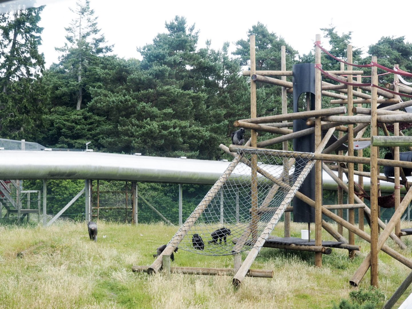 6 things to do on a trip to Weymouth hannatalks