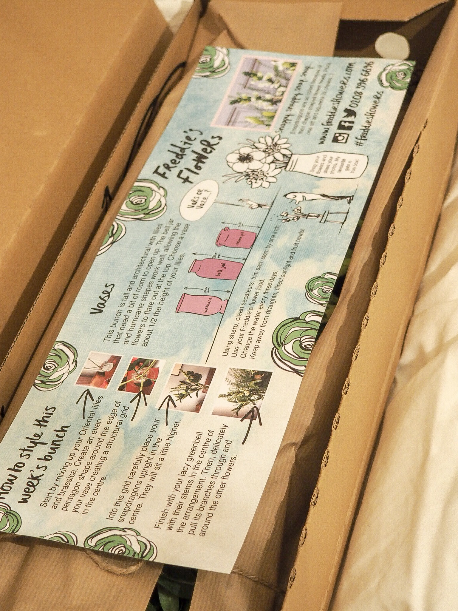 Brighten Up Your Room with A Bunch of Freddie's Flowers hannatalks