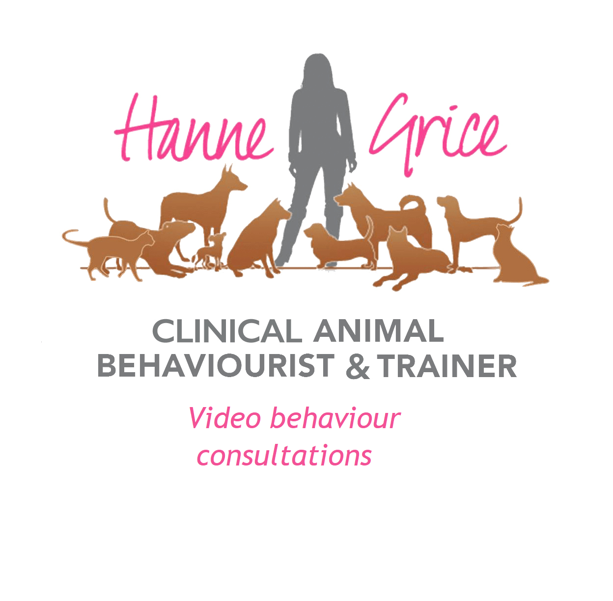 1 1 Dog Training Hanne Grice Pet Training & Behaviour
