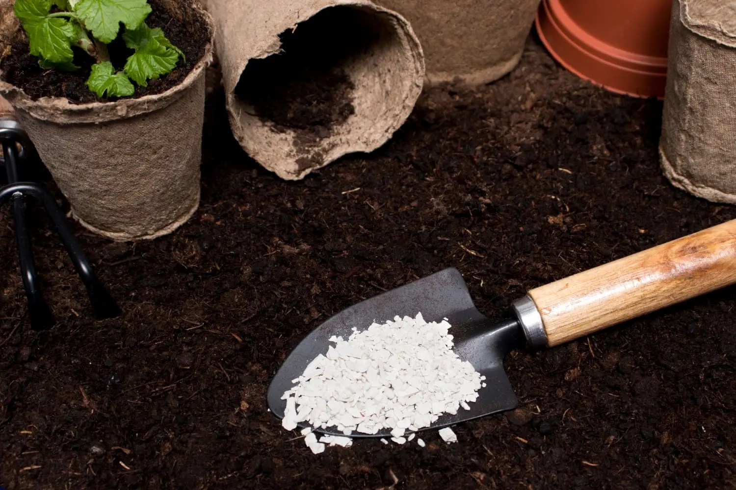 Compost vs. Fertilizer Which is Better as Garden Fertilizer HANS