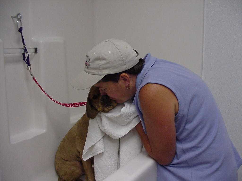 HapEDog Natural Food & Barkery; Henderson, NV