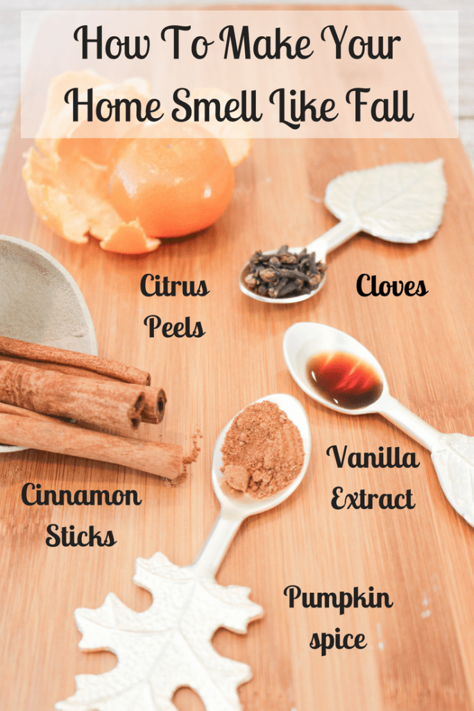 Easy DIY Potpourri Simmer Pot Recipe to Make Your Home Smell Like Fall