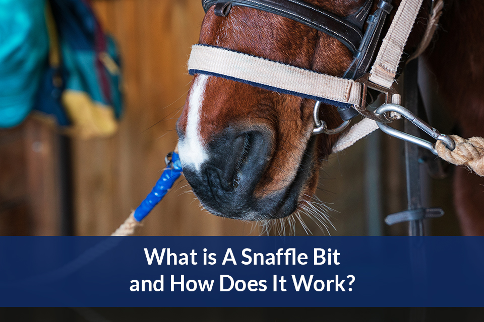 What Is A Snaffle Bit And How Does It Work Comly Sport Horses