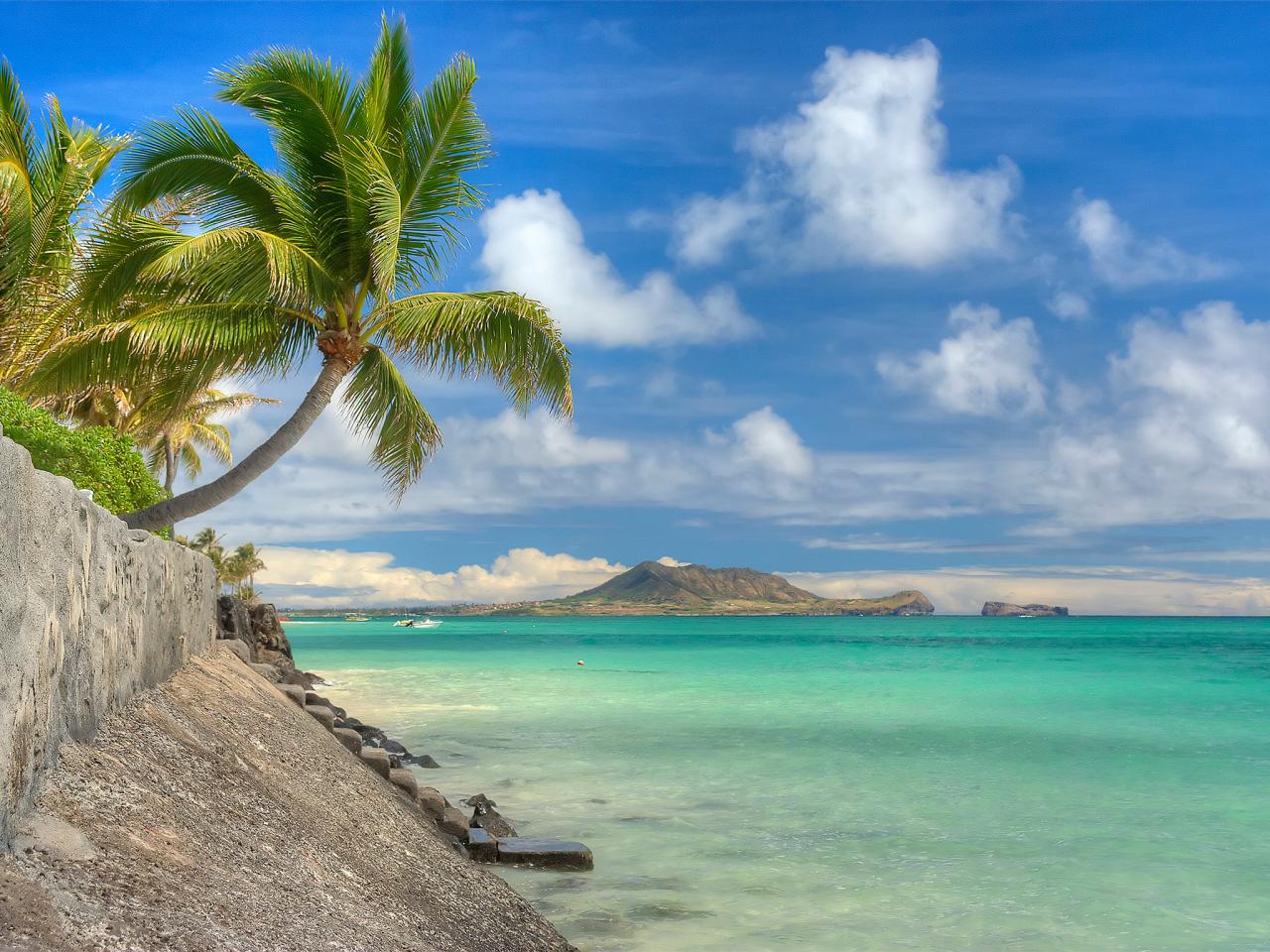 ¡Vuelos a Hawaii por sólo 467€ Ida y Vuelta! Happy Low Cost