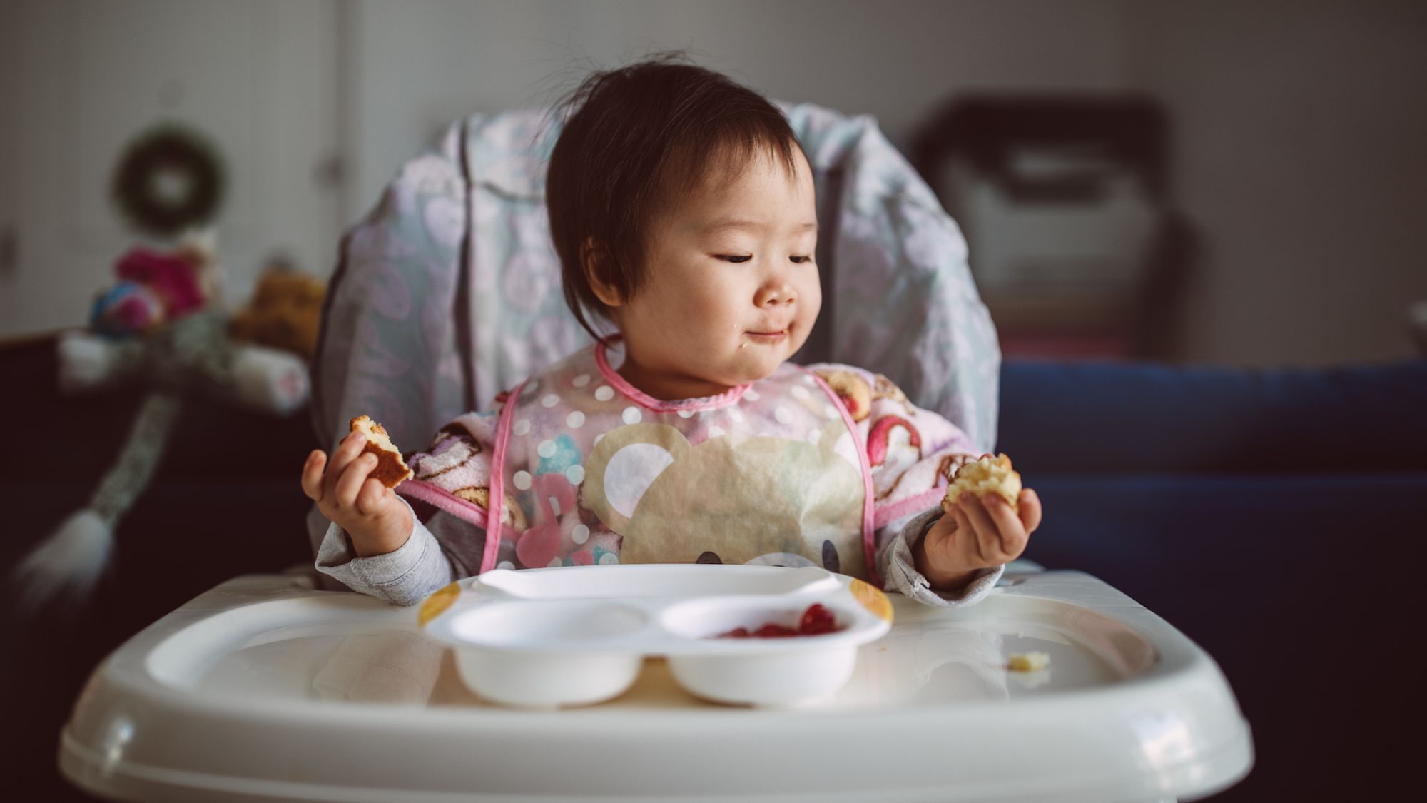 Top 10 Best Baby HighChairs For Optimal Feeding Experience HappyPreggie