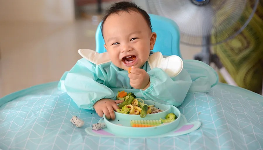 FirstBite Organic Baby Millet And Rice Noodles Best Choice For Your