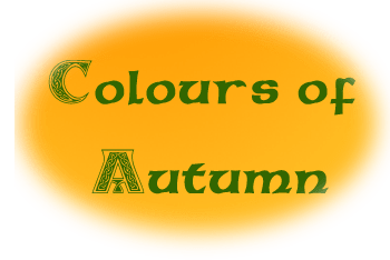 Colours of Autumn