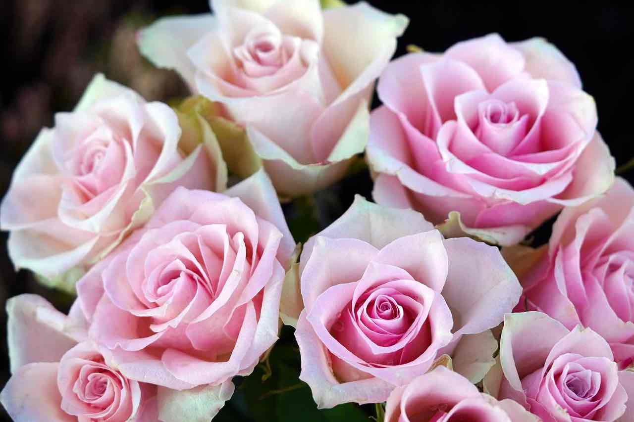 Flower Prices Rise Ahead of Graduations