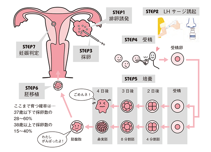不妊治療におけるリスクについて少しでもリスクを減らすための対策｜はらメディカルクリニック
