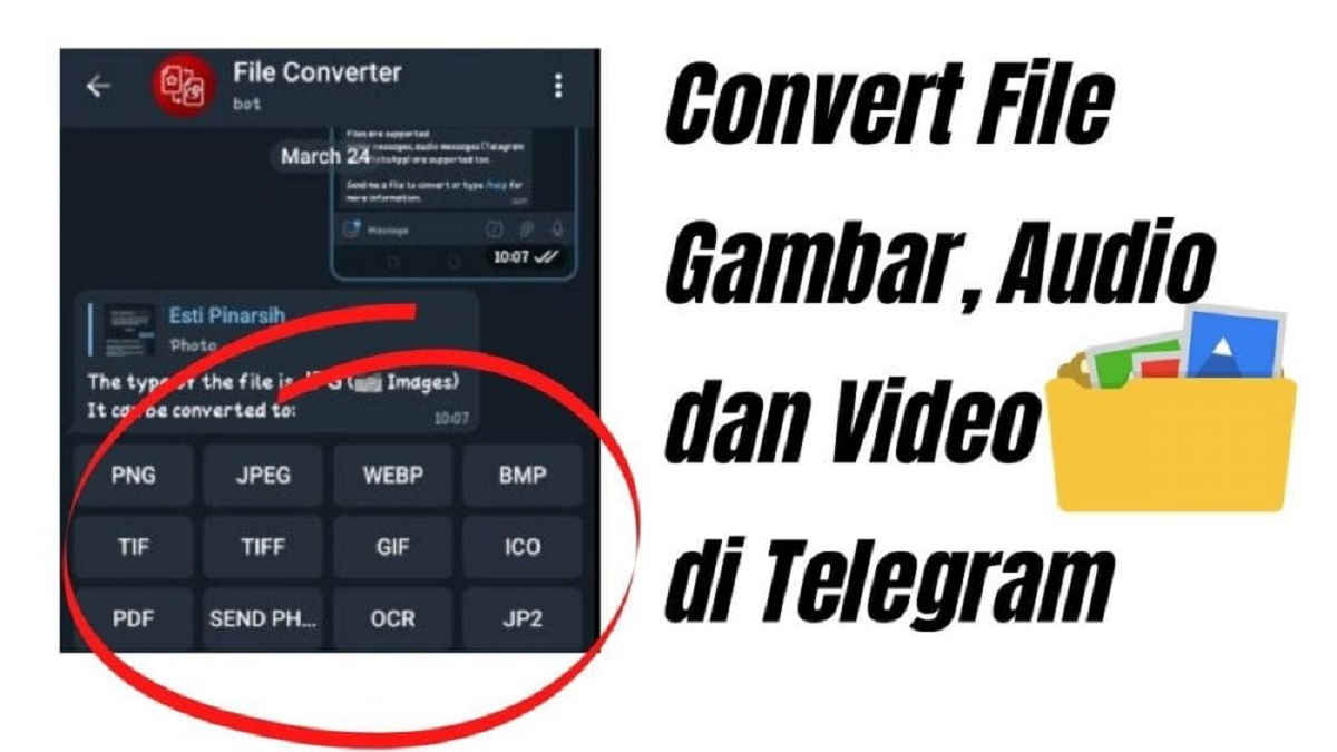 Telegram Bot File Converter, feature Convert files to various formats