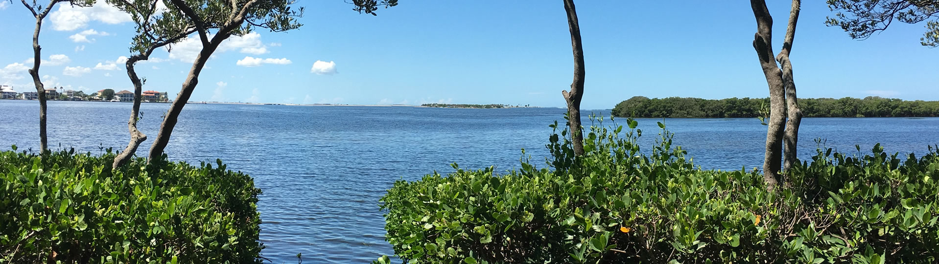 Harbour Watch. The Waterfront Preserve in Tarpon Springs, Florida