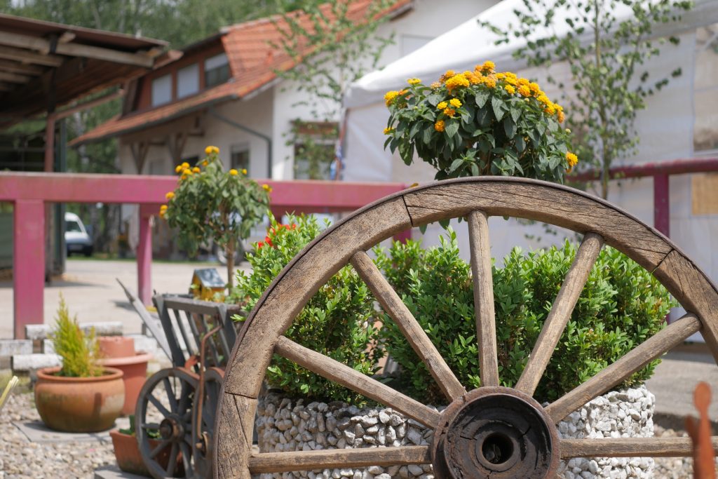 Startseite Hardt Ranch