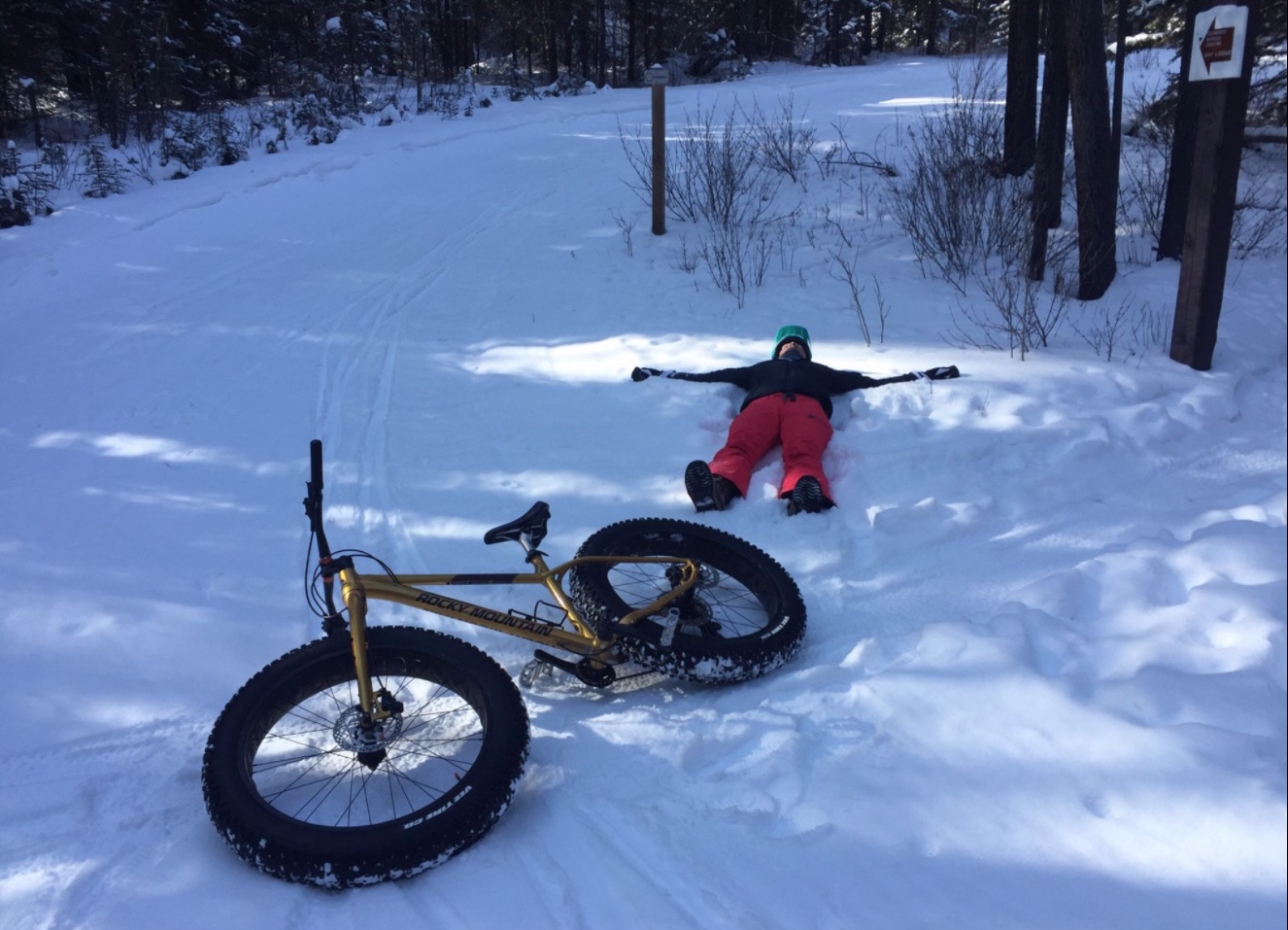Curious about Beginner Fat Biking? Here's Your Intro Guide Hardtail