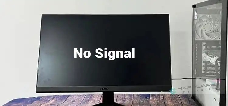 No Signal on Monitor With New PC Build | Troubleshooting Guide to Get