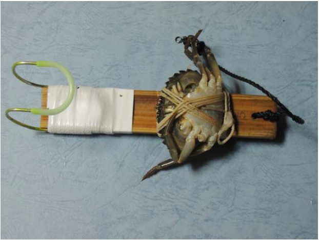 横浜のタコ釣り名人が教える テンヤ仕掛けの作り方・タコの釣り方 釣針製造・釣具・卸の株式会社はりよし