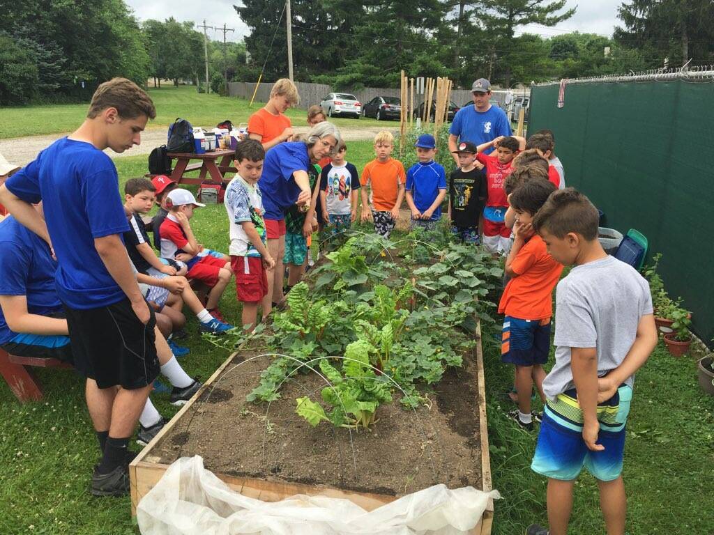 Activities Harleysville Summer Day Camp