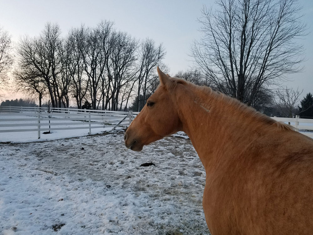 All Photos Harmony Hills EquestrianHarmony Hills Equestrian