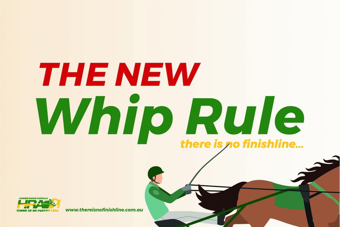 New Whip Rules (Effective 1 September 2018) Harnesslink