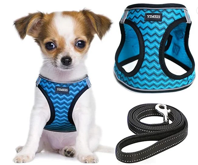 Cute Dog Harnesses Our Best Collection Harness Hub