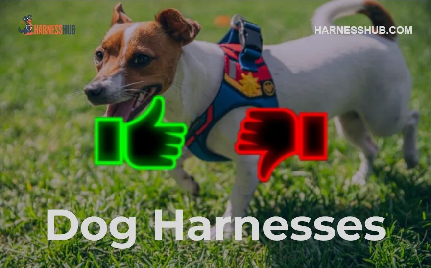Dog Harnesses Advantages and Disadvantages Harness Hub