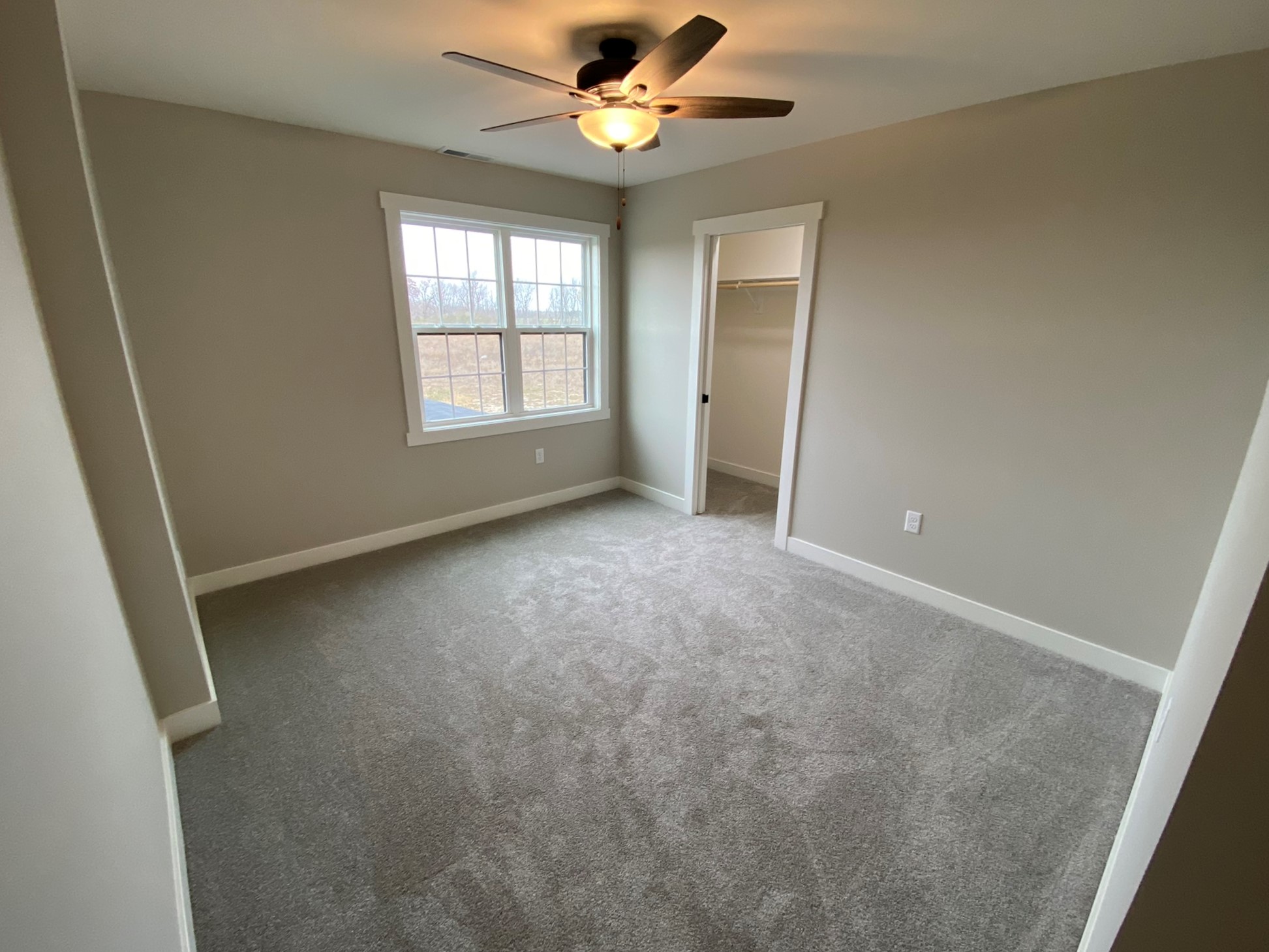 Custom Lexington Gallery Harpe Development