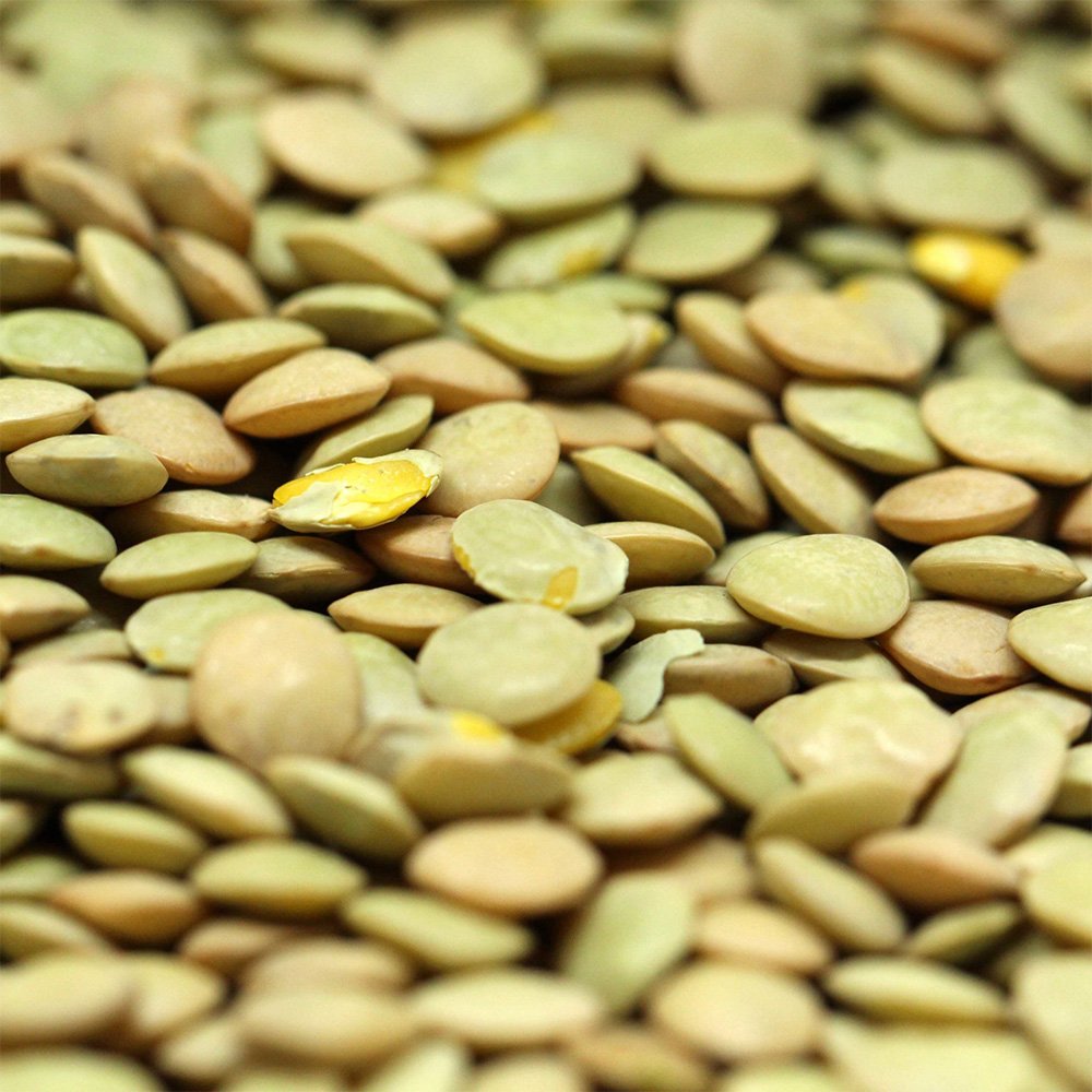 Organic Green Lentils Harriet's of Hove