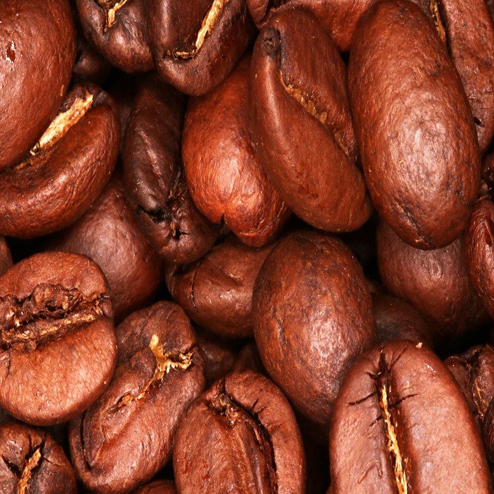 Coffee Compass Brazilian Beans Harriet's of Hove