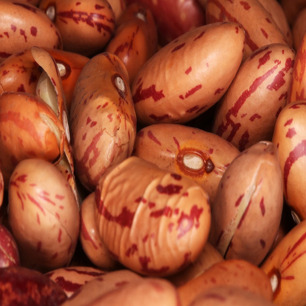 Organic Pinto Beans Harriet's of Hove