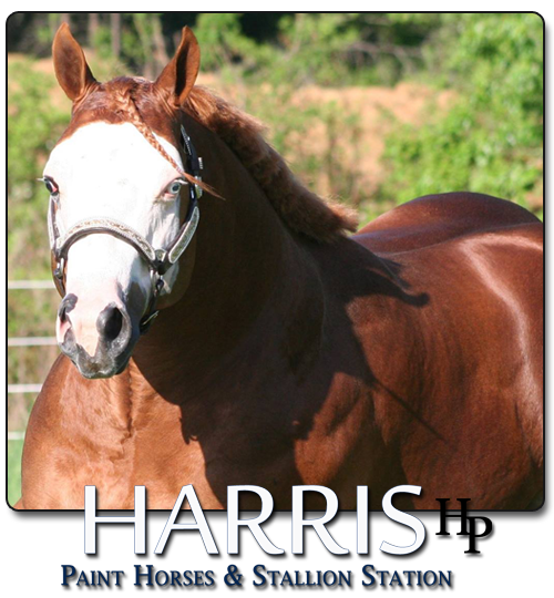 home9.png home1.png home2.png home8.png home4.png home7.png home3.png home5.png home6.png