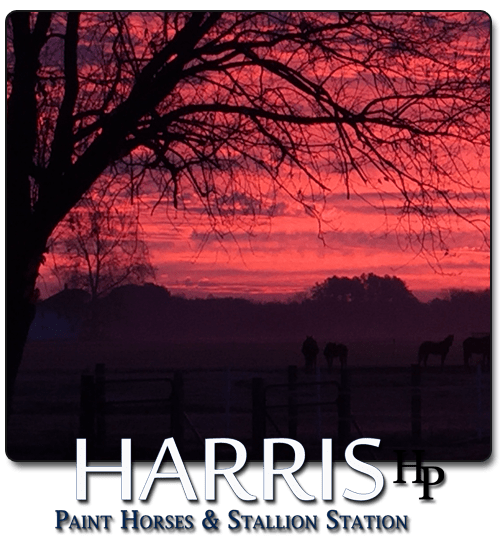 home9.png home1.png home2.png home8.png home4.png home7.png home3.png